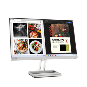 Lenovo L-Series 60.45cm (24 inch) FHD IPS Ultraslim Monitor | 100Hz, 99% sRGB, AMD FreeSync, HDMI, Tilt Stand, 2x3W Speakers, Smart Display Customization Artery, Home & Office Use, Cloud Grey, L24i-40